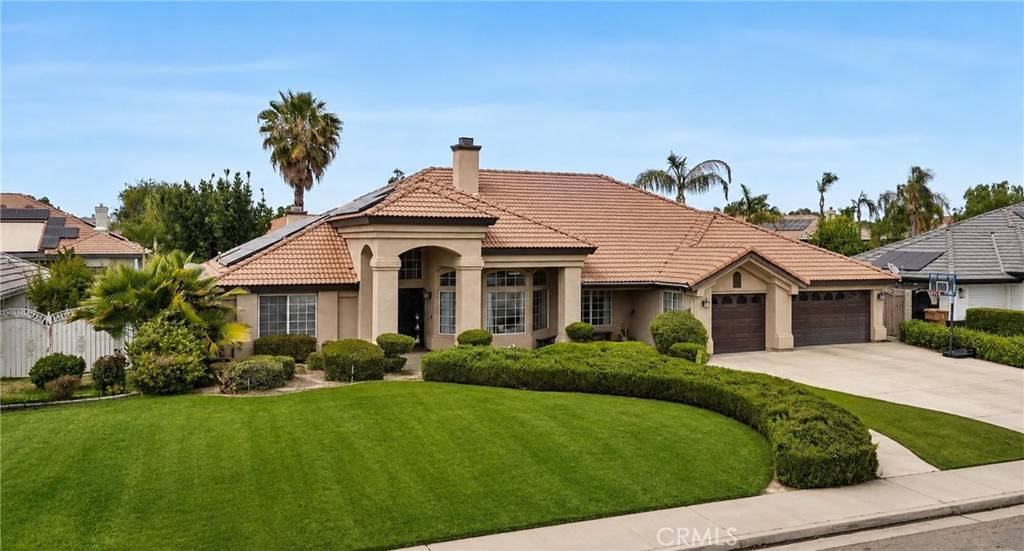 13206 Monarch Palm